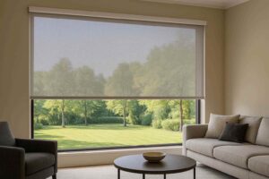 cortinas_roller_screen_living