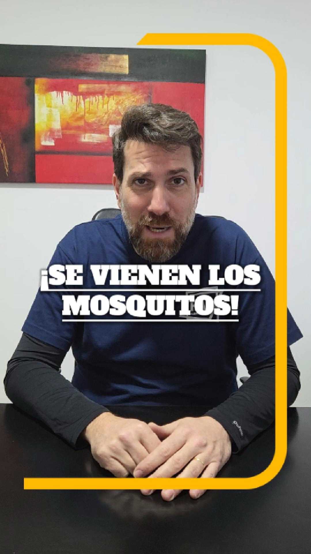 mosquiteros 9